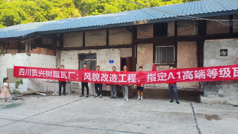 自贡市贡井区金鱼村风貌改造